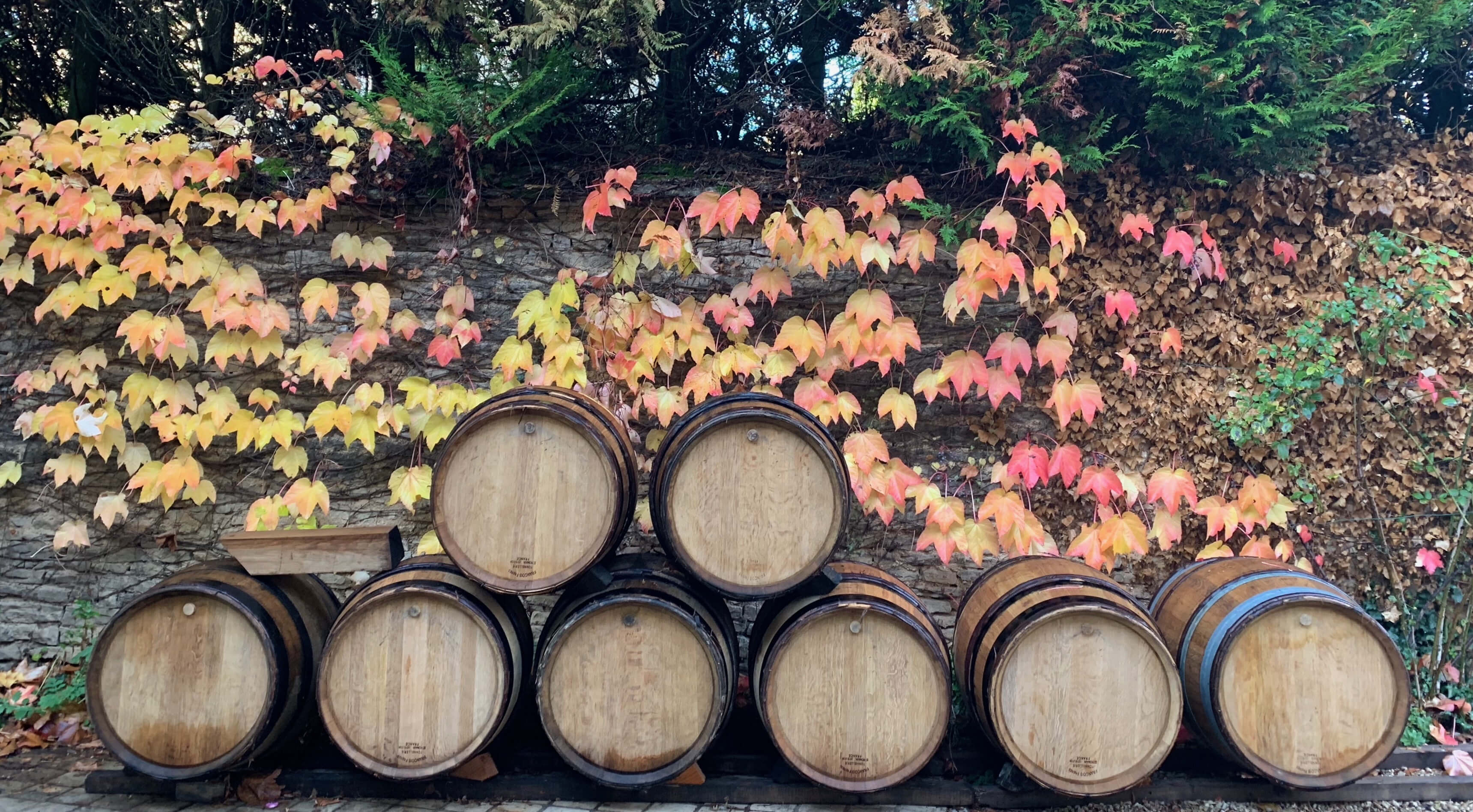 Burgundy17 burgundy2017